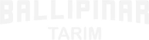 Ballıpınar Tarım